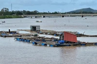Bè nuôi thả thủy sản trên sông Bạng, phường Hải Bình, tỉnh Thanh Hóa.