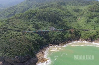 Đoàn tàu giữa không gian hùng vĩ, nên thơ của "thiên hạ đệ nhất hùng quan" Hải Vân.