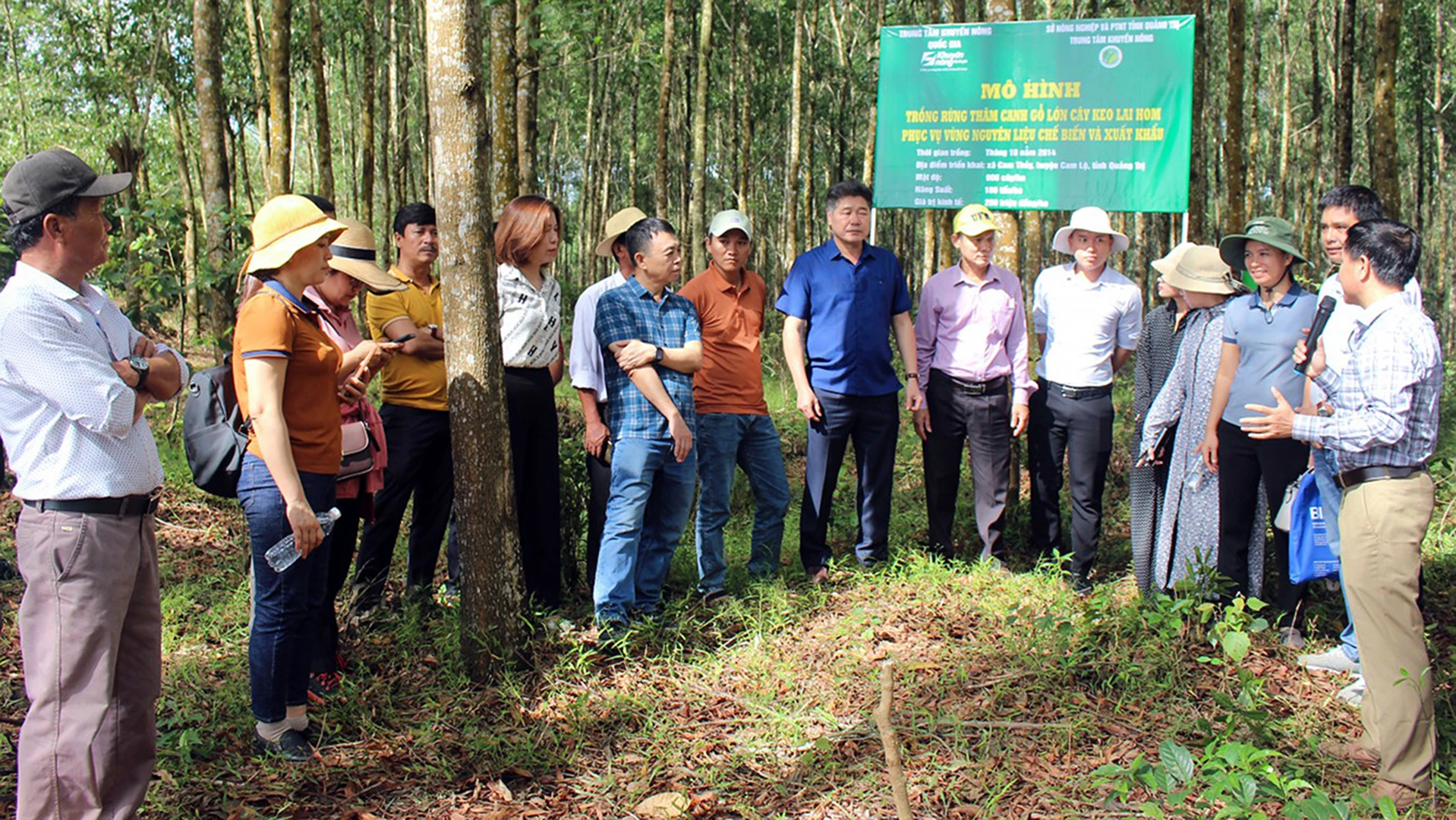 Các tổ khuyến nông cộng đồng tham quan mô hình trồng rừng gỗ lớn tại huyện Cam Lộ, tỉnh Quảng Trị. (Ảnh: VIỆT TOÀN)