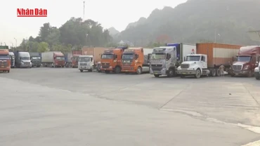 [Video] Hoạt động thông quan xuất nhập khẩu không bị ảnh hưởng bởi bão số 3