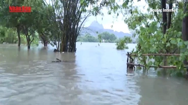 [Video] Cảnh giác với những bệnh dịch thường gặp trong mùa mưa bão, lũ lụt
