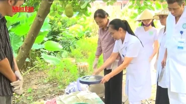 [Video] Hà Nội lồng ghép phòng dịch bệnh Chikungunya với sốt xuất huyết
