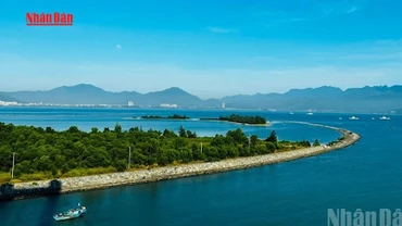 [Video] Đà Nẵng phản hồi về dự án lấn vịnh xây 5 đảo nhân tạo