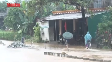 [Video] Dự báo mưa lớn ở nhiều khu vực, cảnh báo lũ trên các sông từ Thanh Hóa đến Huế