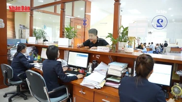[Video] Khai báo theo mã riêng trên hải quan điện tử với hàng hóa được giảm thuế VAT