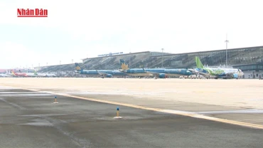 [Video] Đường bay Hà Nội - TP Hồ Chí Minh nằm trong top 10 bận rộn nhất thế giới