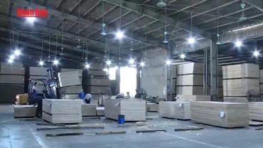 [Video] Năm 2025: Xuất khẩu nông, lâm, thủy sản phấn đấu đạt trên 65 tỷ USD