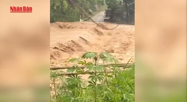 [Video] Lũ trên các sông ở Bắc Bộ, Thanh Hóa ở mức cao