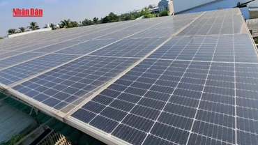 [Video] Thành phố Hồ Chí Minh khuyến khích lắp điện mặt trời hộ gia đình để tiết kiệm điện