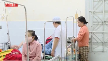 [Video] 5 tháng đầu năm, cả nước đã ghi nhận gần 23.000 ca mắc sốt xuất huyết