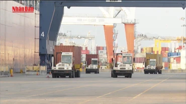 [Video] Xuất nhập khẩu tiếp tục là điểm sáng của nền kinh tế Việt Nam