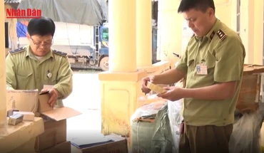 [Video] Hà Nội lập Ban chỉ đạo 389 cấp xã, mạnh tay xử lý buôn lậu và hàng giả