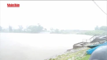 [Video] Chủ động ứng phó gió mạnh, sóng lớn và mưa dông trên biển