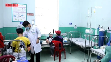 [Video] Nhiều dịch bệnh truyền nhiễm khu vực phía Nam gia tăng