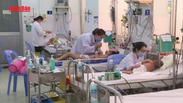 [Video] TP Hồ Chí Minh: Sốt xuất huyết tăng mạnh, nhiều trường hợp nguy kịch