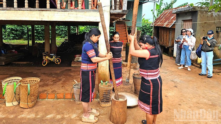 Hoạt động giã lúa rẫy của đồng bào Jrai. ndo_br_a4.jpg