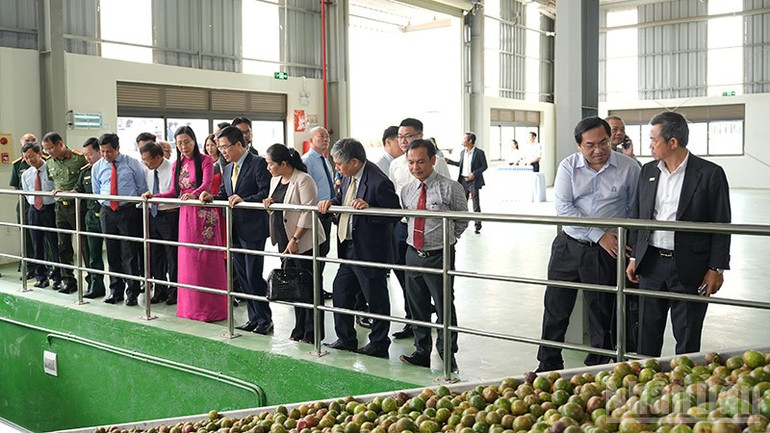 Lãnh đạo tỉnh Quảng Ngãi tham quan nhà máy. ndo_br_hvh03456.jpg
