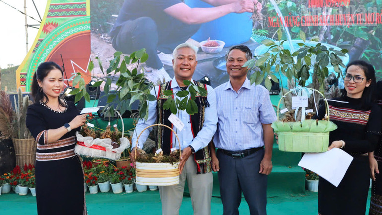 The joy of successfully auctioning a satisfactory Ngoc Linh ginseng plant. ndo_tr_a8.jpg