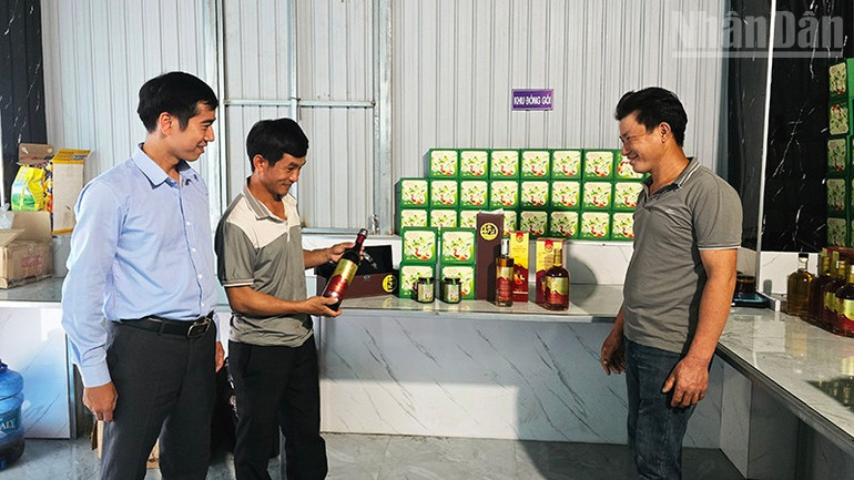 Nhiều sản phẩm từ hươu sao của Hợp tác xã Nông nghiệp Đồng Tiến đạt chuẩn OCOP 3 sao. ndo_tr_a5.jpg