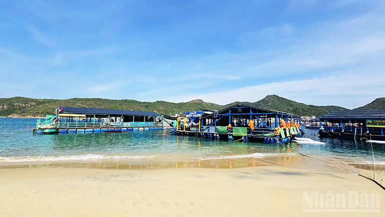 Bè nổi của người dân tại Hòn Khô. ndo_br_a4-7466.jpg