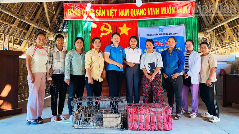 Lan tỏa mô hình nuôi lợn phát triển kinh tế vùng dân tộc thiểu số. ndo_tr_a6.jpg