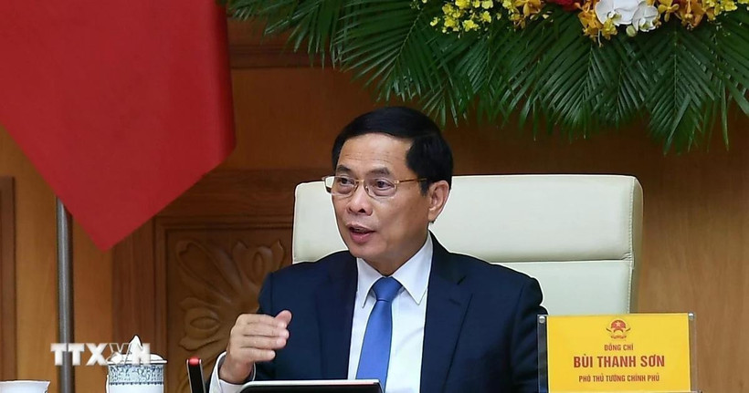 Phó Thủ tướng Bùi Thanh Sơn phát biểu tại buổi tiếp các chuyên gia, nhà khoa học. (Ảnh: TTXVN)