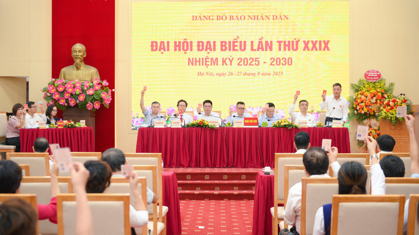 Đại biểu biểu quyết