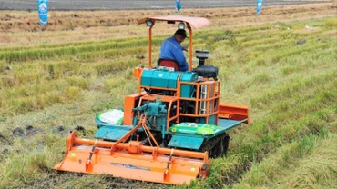 Công ty phân bón Bình Điền.