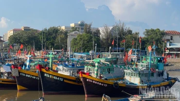Nhiều tàu cá hết hạn đăng kiểm.