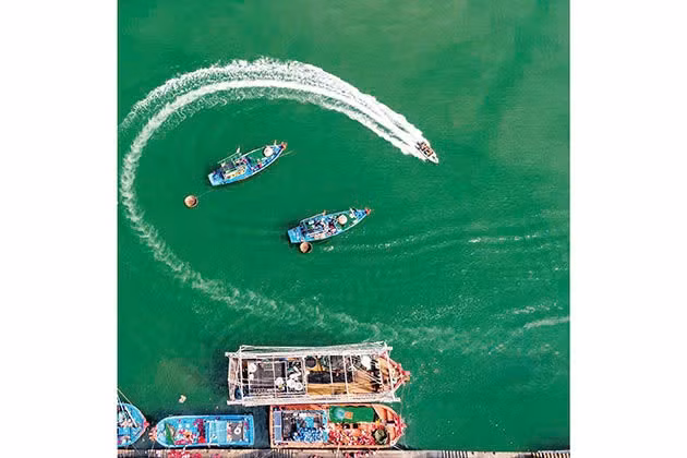 Thủy sản Việt Nam - Phát triển minh bạch, bền vững