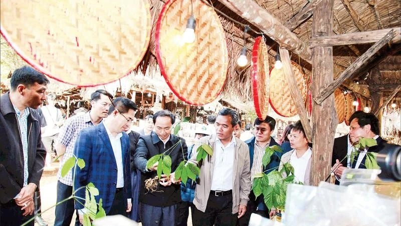 Nông sản, dược liệu các xã miền núi tỉnh Quảng Ngãi trưng bày tại chương trình Tuần lễ văn hóa-du lịch Măng Đen 2026.