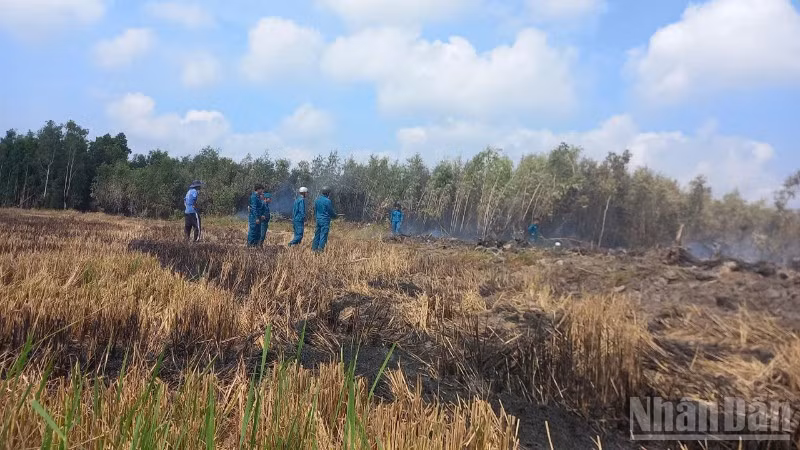Đám cháy rừng Tràm Bình Minh được khống chế nhanh chóng