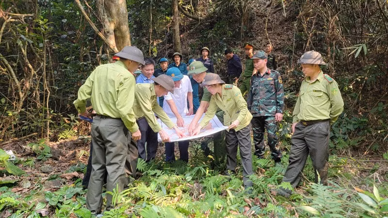 Hạt Kiểm lâm khu vực I, tỉnh Tuyên Quang phối hợp các lực lượng chức năng và người dân tổ chức tuần tra, bảo vệ rừng.
