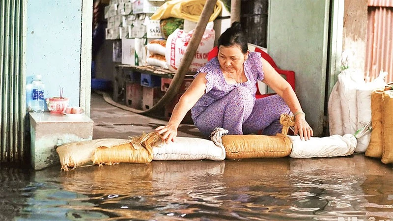 Người dân khu vực Bến Phú Định (Quận 8 cũ) dùng bao cát ngăn nước triều dâng vào những tháng cuối năm. (Ảnh THẾ ANH)