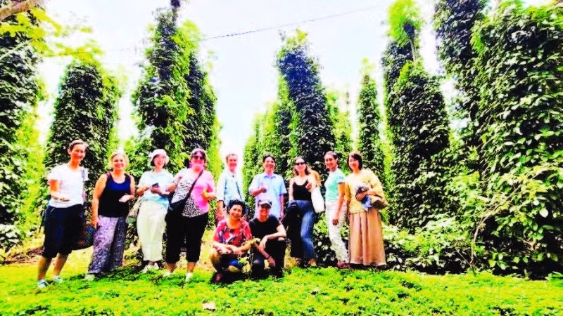 Nhiều khách nước ngoài đã tới vườn tiêu Bầu Mây để trực tiếp tìm hiểu và thưởng thức sản phẩm.