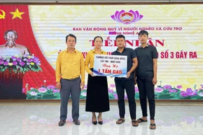 Trường Việt ngữ Cây Tre đã gửi 1 tấn gạo đến Ủy ban Mặt trận Tổ quốc Việt Nam tỉnh Nghệ An để kịp thời hỗ trợ các hộ dân chịu ảnh hưởng nặng nề sau bão.