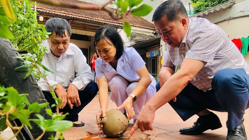 Cán bộ Y tế Trung tâm Kiểm soát bệnh tật (CDC) thành phố Hà Nội kiểm tra, giám sát công tác diệt bọ gậy tại cộng đồng để phòng, chống bệnh sốt xuất huyết.