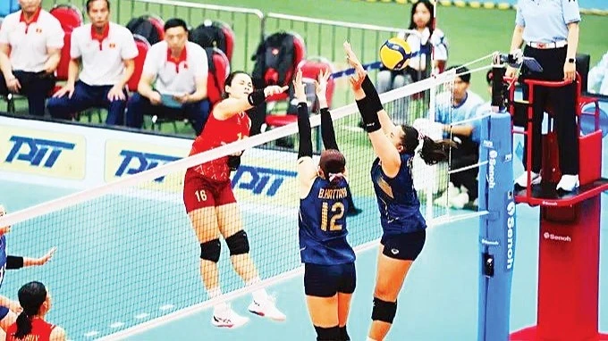 Bóng chuyền Việt Nam 2026: Cuộc đua chiến lược giữa biến động và ổn định