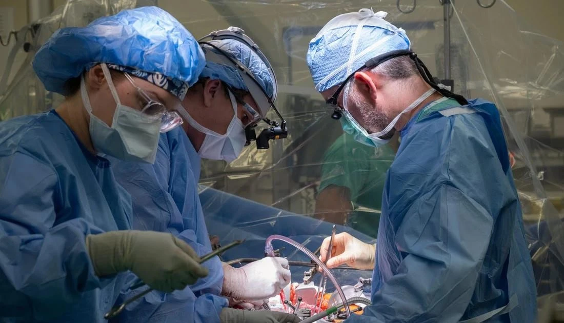 Bác sĩ Bỉ tạo đột phá lịch sử với ca ghép gan đầu tiên trên thế giới
