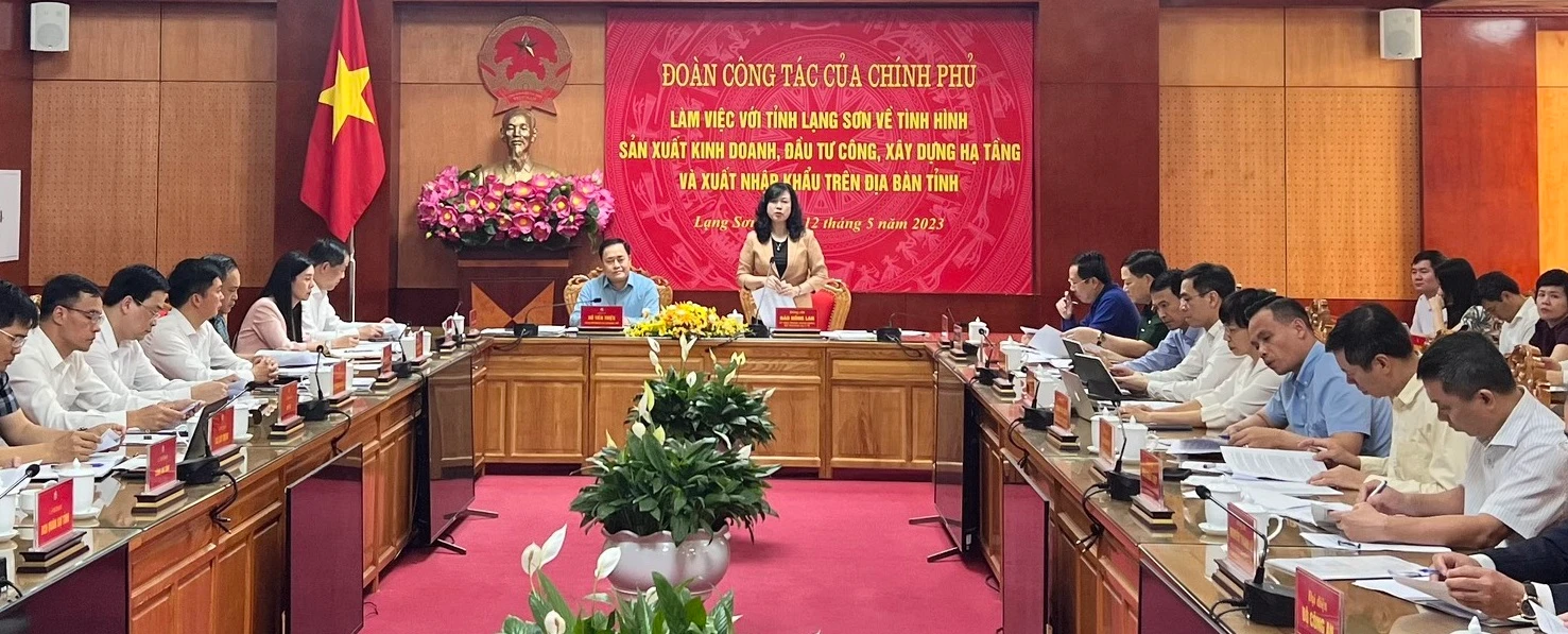 Đồng chí Đào Hồng Lan, Ủy viên Trung ương Đảng, Bộ trưởng Y tế, phát biểu tại buổi làm việc với lãnh đạo tỉnh Lạng Sơn. 