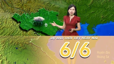 [Video] Dự báo thời tiết đêm nay và ngày mai 6/6/2025: Mưa giảm tại Bắc Bộ và Trung Bộ