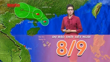 [Video] Dự báo thời tiết ngày 8/9/2025: Bão số 7 đi vào đất liền