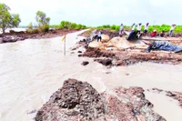 Đất canh tác của người dân khu vực Trảng Tràm 1 bị sóng dữ gây sạt lở phần hậu, làm thất thoát thủy sản trong vuông tôm.