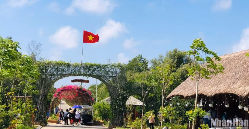 Nhiều du khách rất thích thú trải nghiệm du lịch tại công trình điện gió Hòa Bình-Bạc Liêu.