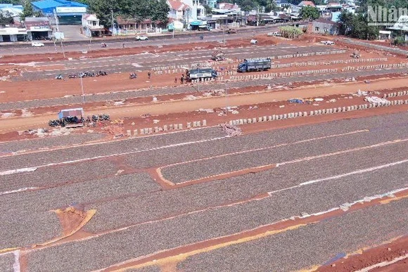 Doanh nghiệp tận dụng khoảng đất trống làm sân phơi điều.