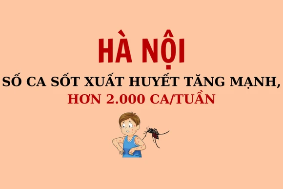 [Infographic] Số ca sốt xuất huyết tăng mạnh, hơn 2.000 ca/tuần