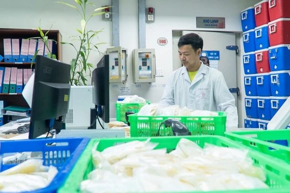 Nhân viên Viện Huyết học-Truyền máu Trung ương chuẩn bị huyết tương để cung cấp cho các cơ sở y tế.