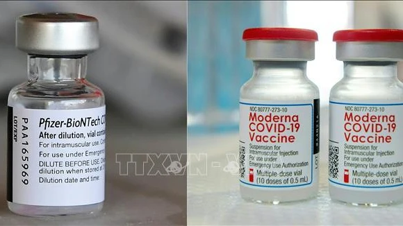 Vaccine ngừa Covid-19 của Moderna và Pfizer/BioNTech. (Ảnh: AFP/TTXVN)