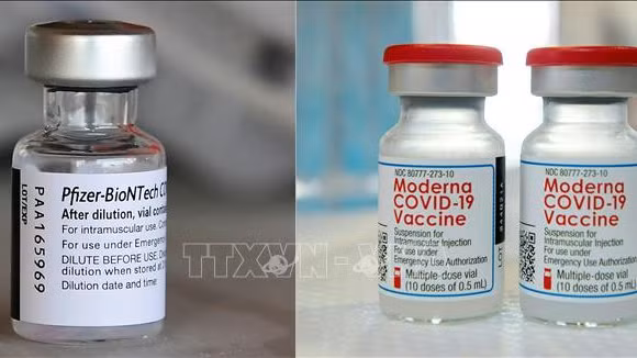 Vaccine ngừa Covid-19 của Moderna và Pfizer/BioNTech. (Ảnh: AFP/TTXVN)
