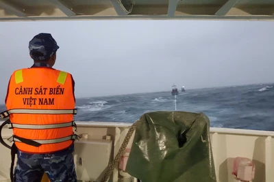 Sáng 12/6, tàu Cảnh sát biển 319 lai dắt hai tàu cá của ngư dân tỉnh Quảng Nam bị hỏng máy trong lúc hành nghề trên biển về đảo Lý Sơn an toàn.